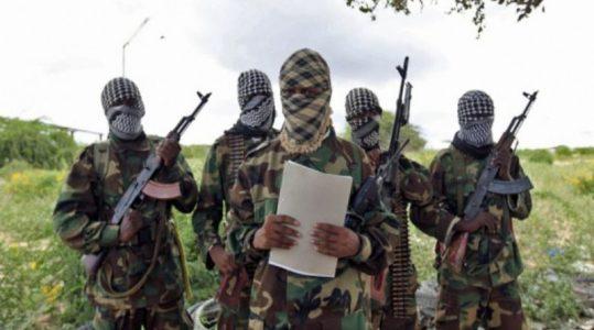 Al-Shabab declares war on Islamic State in Somalia