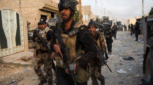 Iraqi troops arrested two Islamic State terrorists in Anbar