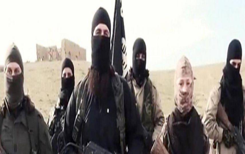 ISIS and Al-Qaeda terrorists may scatter to Turkey | GFATF | Global ...