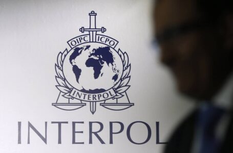 The International Criminal Police Organisation warns of online terrorist threat