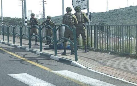 Palestinian terrorist attempted to stab a female soldier and her commander multiple times near Ariel