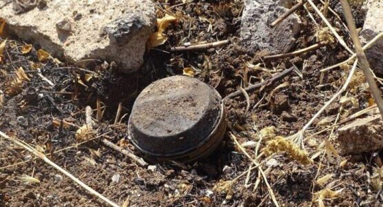 Islamic State mines killed truffle hunters in the Syrian desert