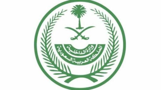 Saudi Arabian authorities executed two men over involvement in terrorist cell