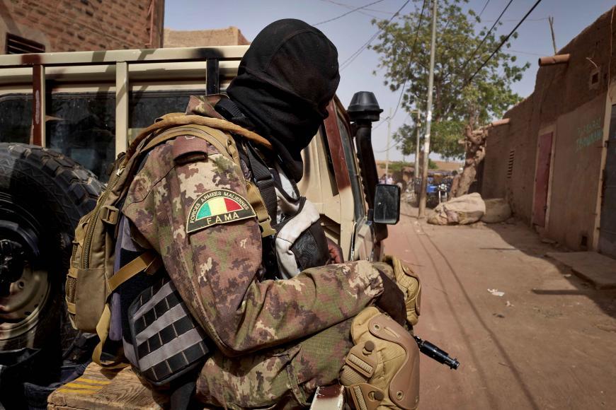 IS Jihadists Take Key Northeastern Village in Mali