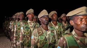 Somalia army liberates more villages from Al-Shabaab