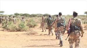 Somalia military kills nine Al-Shabaab terrorists