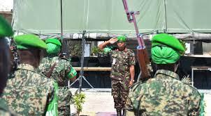 Ugandan troops in Somalia lauded for contributions to Al-Shabaab war