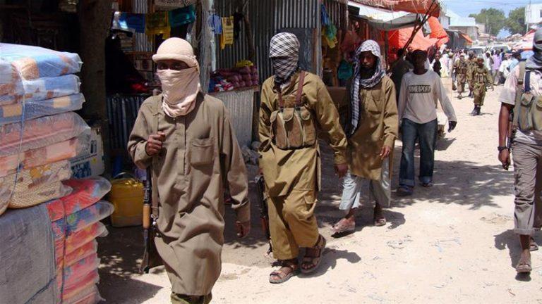 Somali army kills 5 al-Shabaab militants