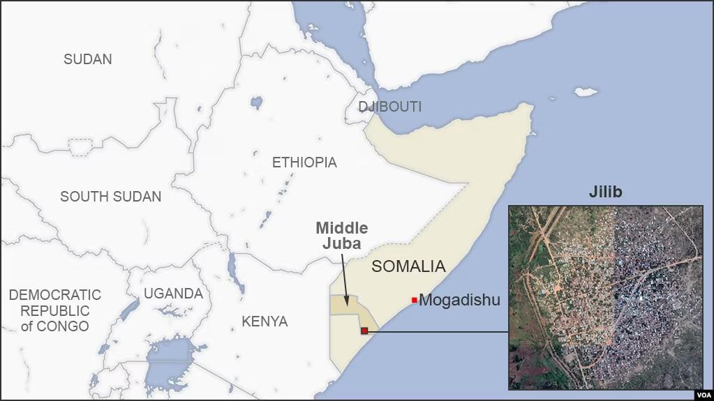 US Says Al-Shabab Leader Injured in Airstrike in Somalia