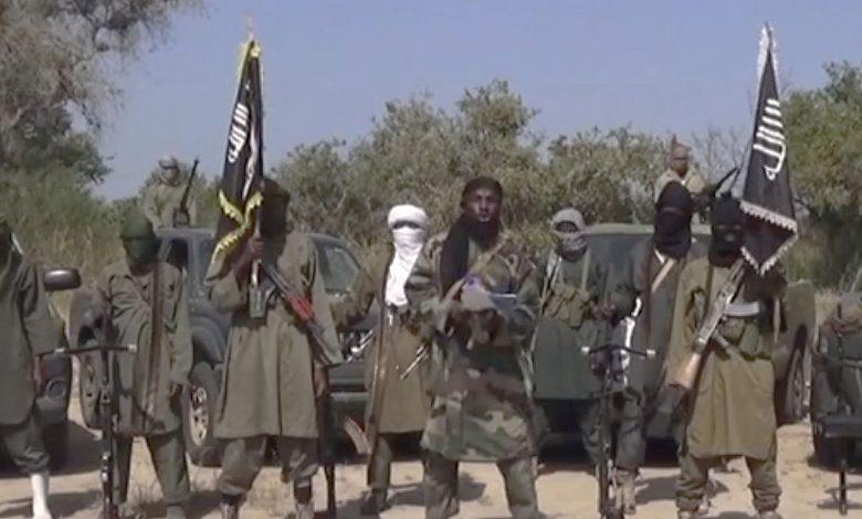 Boko Haram Kills 8 in Borno