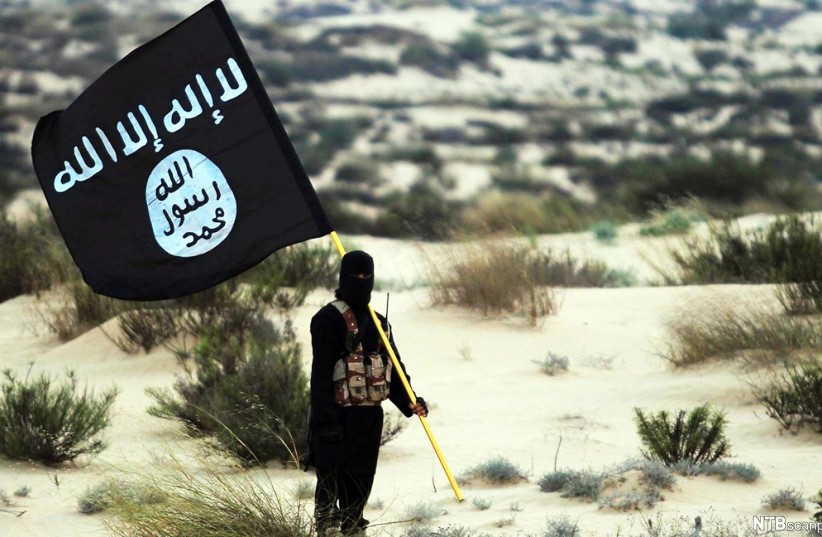 Israeli citizen joins ISIS via TikTok, plans to attack Jews