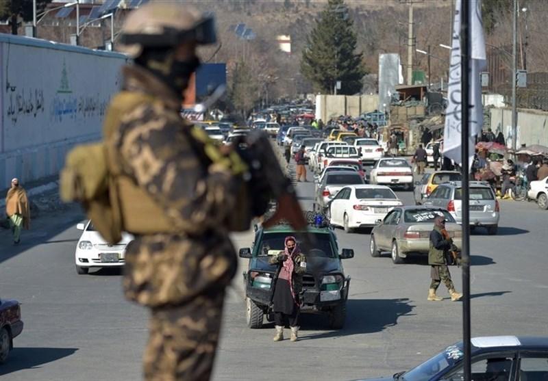 No Terrorist Group Allowed in Afghanistan: Official