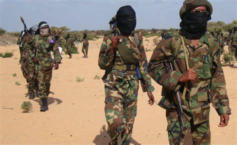 Somalia Says Operation Against Al-Shabab Killed Nearly 40 Militants