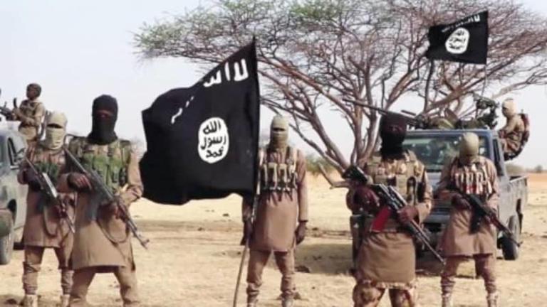 Two Boko Haram commanders surrender to military task force in Borno