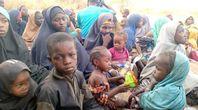 Army rescues 387 hostages in Sambisa forest