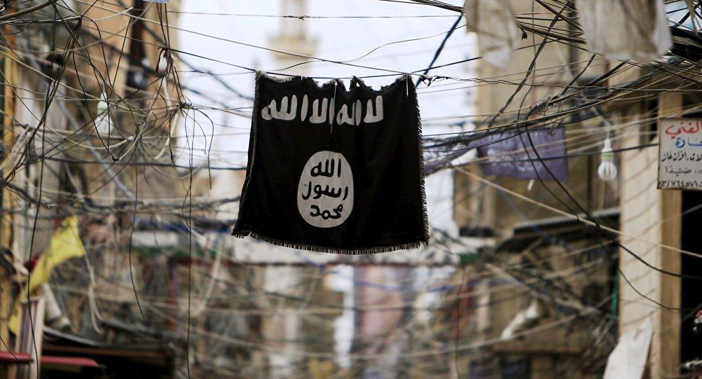 US says captured Daesh leader in Syria