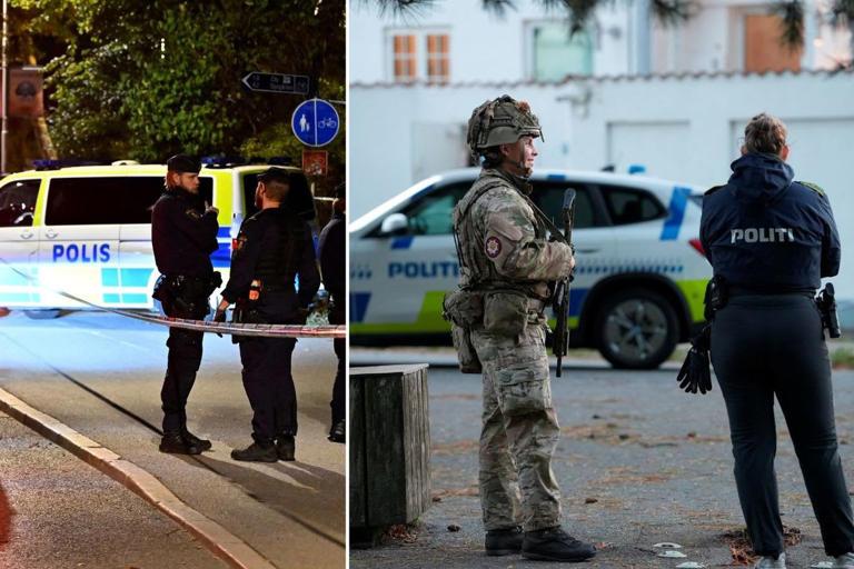 Explosions outside Israeli embassies in two different European capitals ’caused by hand grenades’ and ‘gun fire’