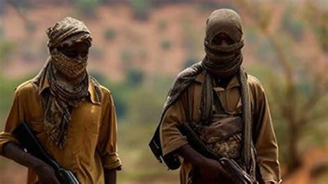 Lakurawa terrorists launch deadly attacks in Niger Republic