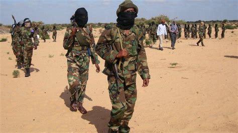 At least 48 Islamic State militants killed in US strike on Somalia — portal